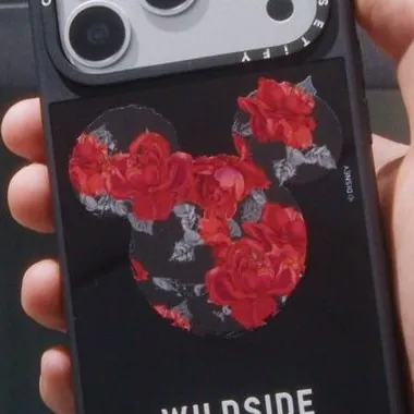 Close-up of the rose pattern carried around the camera surround