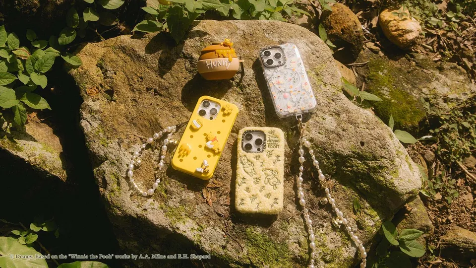 Winnie the Pooh cases and a hunny pot on a sunlit woodland rock